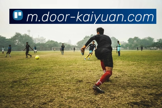 App Interface Preview